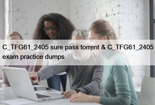 C_TFG61_2405 sure pass torrent & C_TFG61_2405 exam practice dumps
