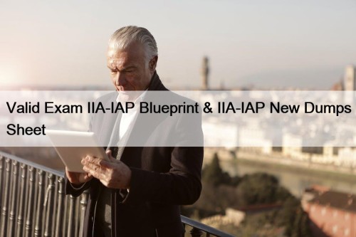 Valid Exam IIA-IAP Blueprint & IIA-IAP New Dumps Sheet